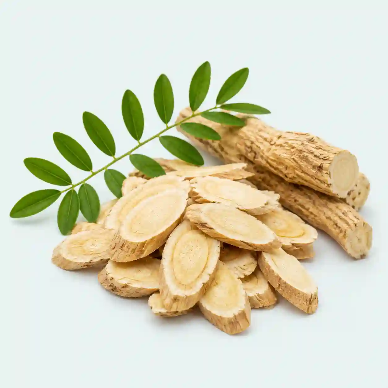 astragalus